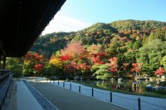 【エースJTB】京都ツアー予約・京都の旅館・ホテル予約